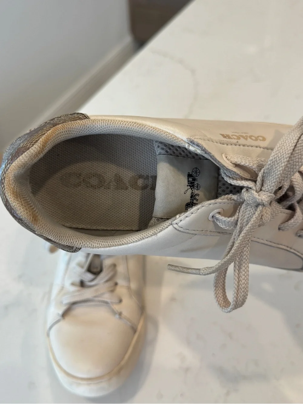 Coach Clip Low Top Sneakers